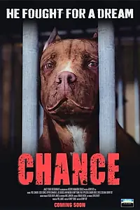 Постер к мультфильму «Chance (2019)»