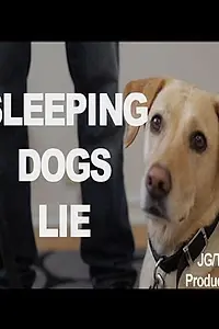 Постер к фильму «Sleeping Dogs Lie (2014)»