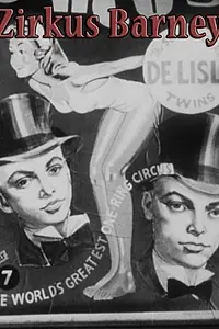 Постер к фильму «Dual Alibi (1947)»
