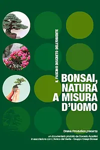 Постер к фильму «Bonsai, natura a misura d'uomo (2015)»