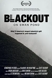 Постер к фильму «Blackout: On Swan Pond (2014)»
