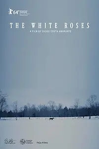 Постер к фильму «As Rosas Brancas (2014)»