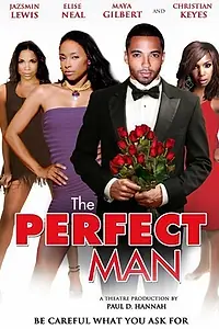 Главный постер фильма «The Perfect Man (2011)»