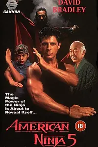 Главный постер фильма «Американский ниндзя 5 (1992)»