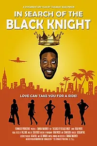 Главный постер фильма «In Search of the Black Knight (2013)»