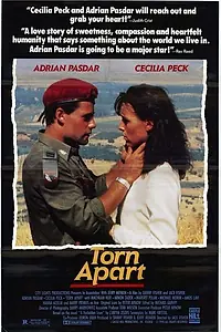 Главный постер фильма «Раздираемый на части (1990)»