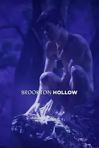Постер к фильму «Brookton Hollow (2010)»