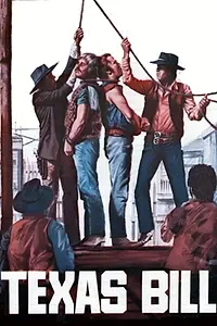 Главный постер фильма «Il magnifico west (1972)»