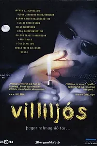 Постер к фильму «Villiljós (2001)»