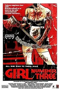 Постер к фильму «Girl Number Three (2009)»