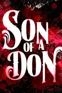 Постер к фильму «Son of a Don (2010)»