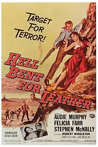 Постер к фильму «Охотник за скальпом (1960)»