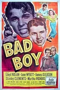 Постер к фильму «Плохой парень (1949)»