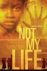 Постер к фильму «Not My Life (2011)»
