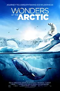 Главный постер фильма «Чудеса Арктики (2014)»