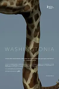 Постер к фильму «Washingtonia (2014)»