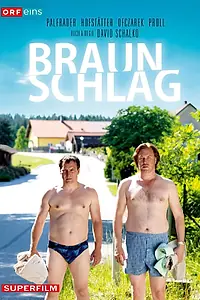 Постер к сериалу «Брауншлаг (2012)»