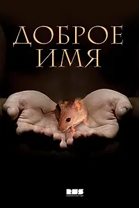 Постер к сериалу «Доброе имя (2014)»