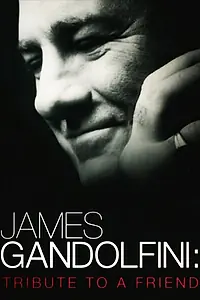 Постер к фильму «James Gandolfini: Tribute to a Friend (2013)»