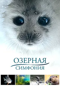 Постер к фильму «Озерная симфония (2016)»