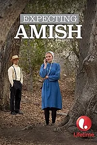 Главный постер фильма «Ожидая амишей (2014)»