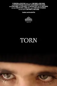 Постер к фильму «Врозь (2014)»