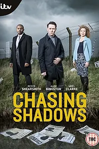 Главный постер сериала «В погоне за тенями (2014)»
