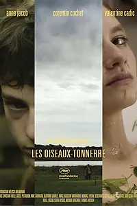 Постер к фильму «Буревестник (2014)»