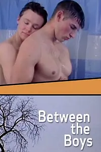 Главный постер фильма «Между парнями (2004)»