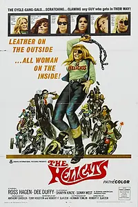 Постер к фильму «Адские киски (1968)»