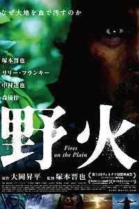 Постер к фильму «Пожары на равнинах (2014)»