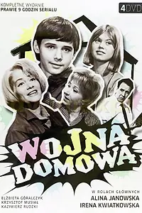 Постер к сериалу «Домашняя война (1965 - 1966)»