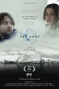 Главный постер фильма «Красный узел (2014)»