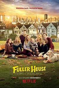Постер к сериалу «Более полный дом (2016 - 2020)»
