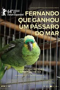 Постер к фильму «Fernando Que Ganhou Um Pássaro Do Mar (2013)»