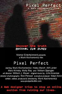 Постер к фильму «Pixel Perfect (2004)»