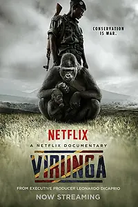 Постер к фильму «Вирунга (2014)»