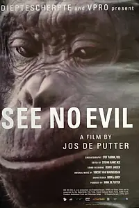 Главный постер фильма «Не вижу зла (2014)»