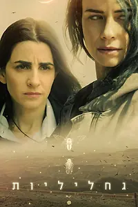 Главный постер сериала «Светлячки (2025)»