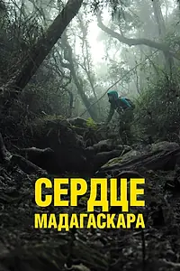 Постер к фильму «Сердце Мадагаскара (2024)»