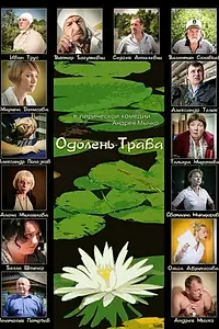 Постер к фильму «Одолень-трава (2014)»