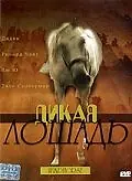 Главный постер фильма «Дикая лошадь (1998)»