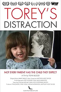 Постер к фильму «Torey's Distraction (2009)»