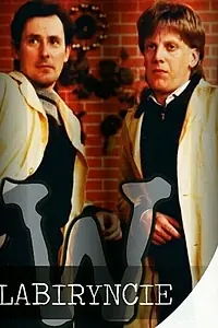 Постер к сериалу «В лабиринте (1988 - 1991)»