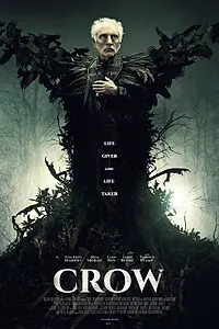 Постер к фильму «Ворон (2016)»