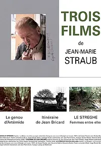 Постер к фильму «Маршрут Жана Брикара (2008)»