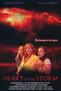 Постер к фильму «Страшнее шторма (2004)»