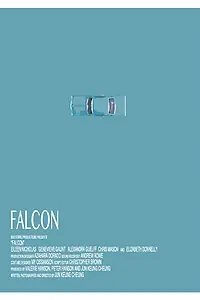 Постер к фильму «Falcon (2014)»