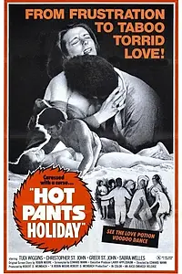 Главный постер фильма «Hot Pants Holiday (1971)»