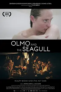 Постер к фильму «Олмо и чайка (2015)»